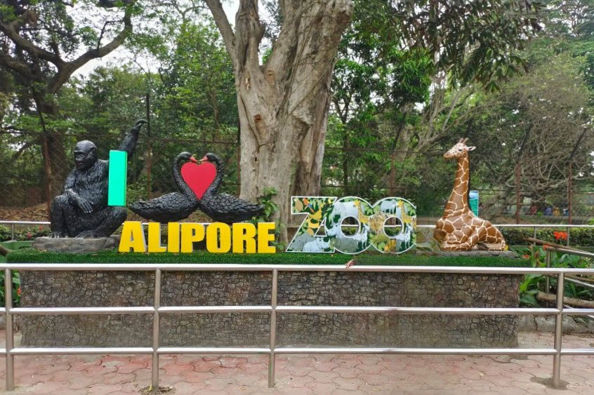Alipore Zoological Gardens, Kolkata, West Bengal - Vushii.com